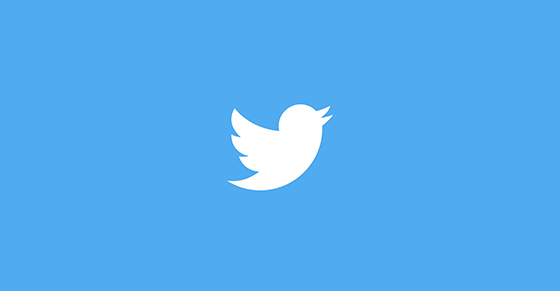 Follow us on twitter