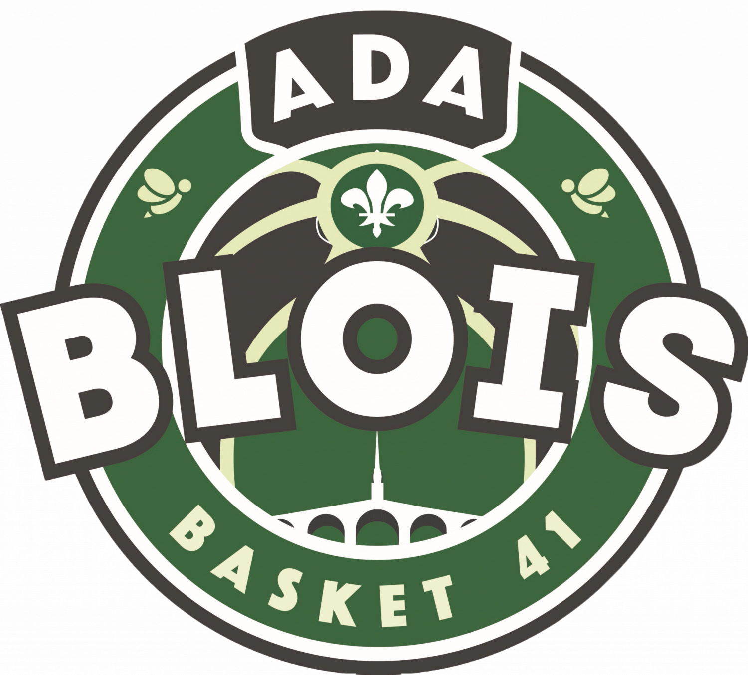 Logo ADA Blois Basket 41